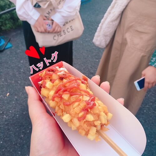 韓国語教室の無料体験レッスンの後に食べた新大久保のハットグ