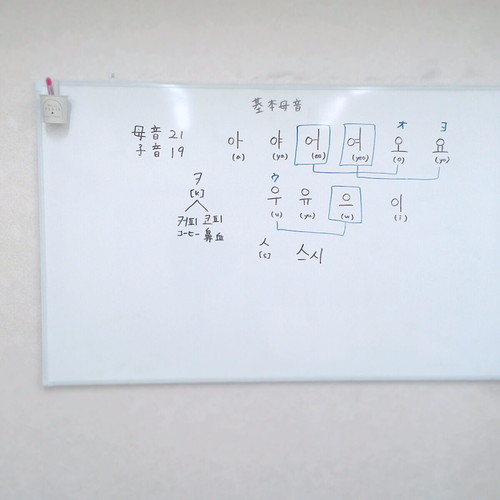 新大久保にある韓国語教室の無料体験レッスンの写真：k Village tokyoの無料体験レッスンの内容